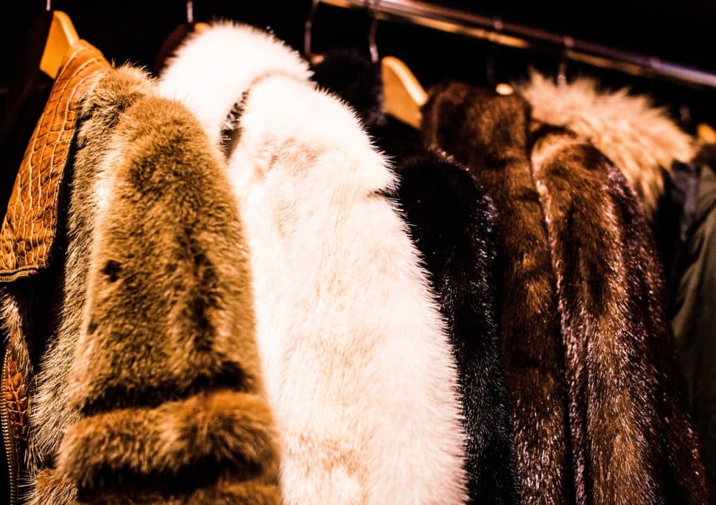 animal furs fashion